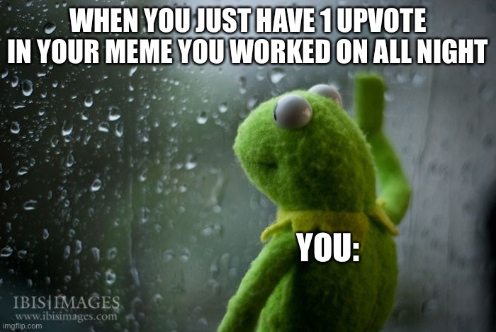 kermit window | WHEN YOU JUST HAVE 1 UPVOTE IN YOUR MEME YOU WORKED ON ALL NIGHT; YOU: | image tagged in kermit window | made w/ Imgflip meme maker
