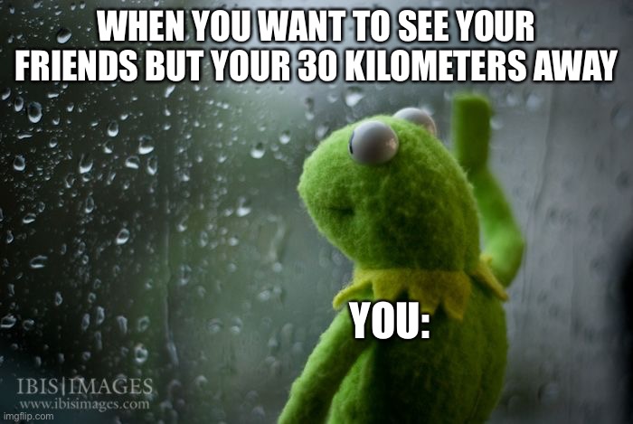 kermit window | WHEN YOU WANT TO SEE YOUR FRIENDS BUT YOUR 30 KILOMETERS AWAY; YOU: | image tagged in kermit window | made w/ Imgflip meme maker