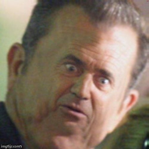 Mel Gibson stunned | image tagged in mel gibson stunned | made w/ Imgflip meme maker