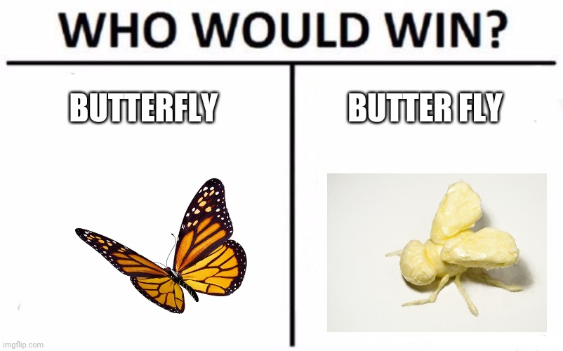 Great battle | BUTTERFLY; BUTTER FLY | image tagged in memes,who would win | made w/ Imgflip meme maker