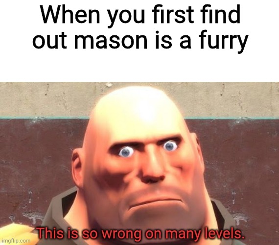 This is so wrong on many levels. | When you first find out mason is a furry | image tagged in this is so wrong on many levels,mason | made w/ Imgflip meme maker