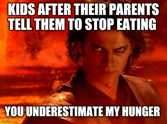 You Underestimate My Power | KIDS AFTER THEIR PARENTS TELL THEM TO STOP EATING; YOU UNDERESTIMATE MY HUNGER | image tagged in memes,you underestimate my power | made w/ Imgflip meme maker