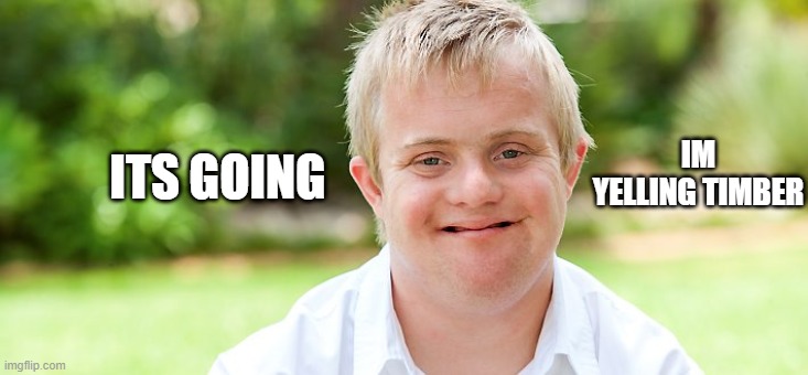 downsyndrom | IM YELLING TIMBER; ITS GOING | image tagged in downsyndrom | made w/ Imgflip meme maker