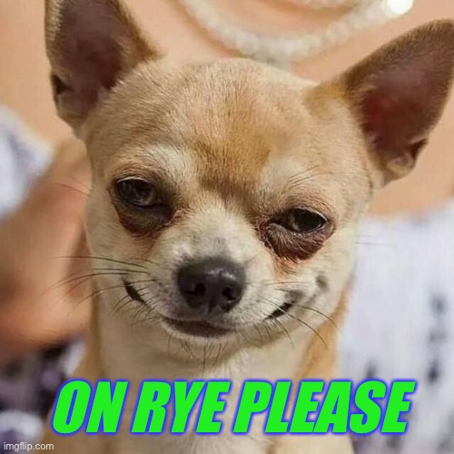 Smirking Dog | ON RYE PLEASE | image tagged in smirking dog | made w/ Imgflip meme maker