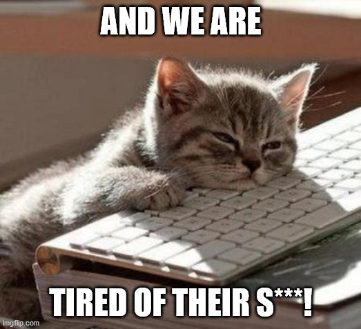 tired cat | AND WE ARE TIRED OF THEIR S***! | image tagged in tired cat | made w/ Imgflip meme maker