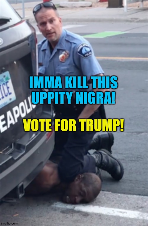 george floyd | IMMA KILL THIS UPPITY NIGRA! VOTE FOR TRUMP! | image tagged in george floyd | made w/ Imgflip meme maker