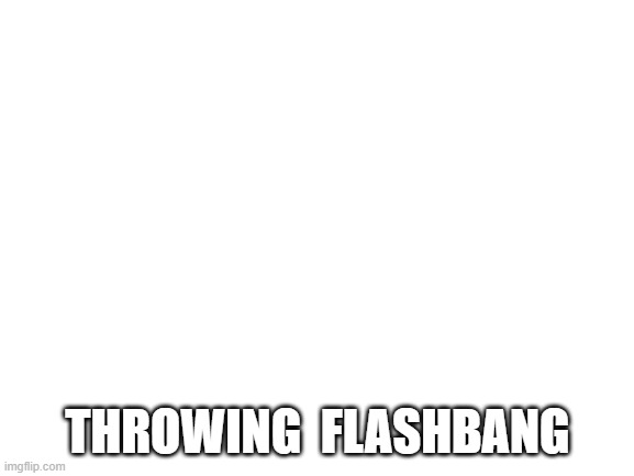 Here is a little gift for my fellow dark theme users | THROWING  FLASHBANG | image tagged in blank white template | made w/ Imgflip meme maker