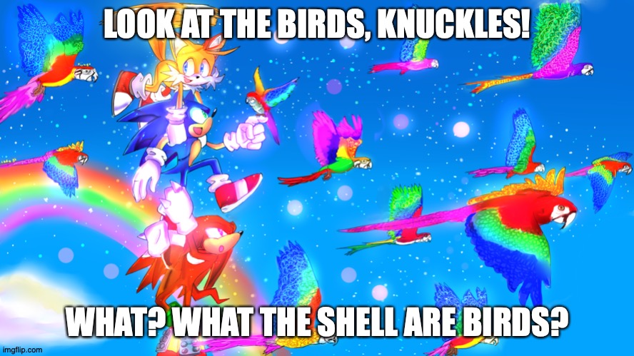 fghjiop | LOOK AT THE BIRDS, KNUCKLES! WHAT? WHAT THE SHELL ARE BIRDS? | image tagged in funny,birds | made w/ Imgflip meme maker