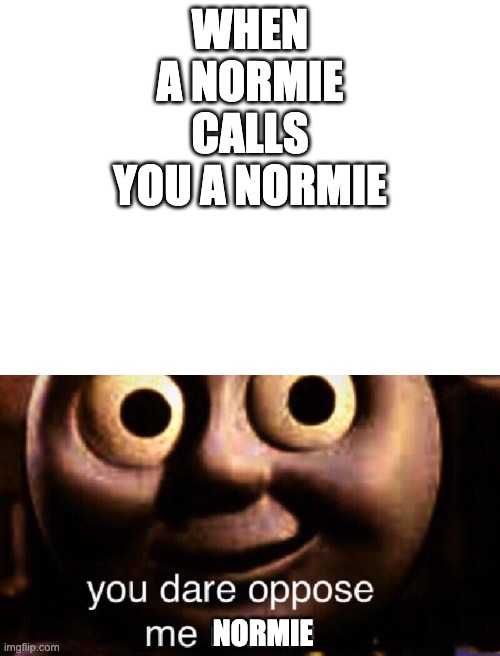 E | WHEN A NORMIE CALLS YOU A NORMIE; NORMIE | image tagged in blank white template,you dare oppose me mortal | made w/ Imgflip meme maker