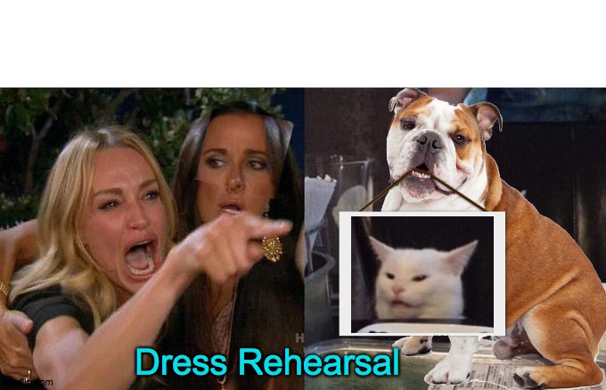 phoned it in | Dress Rehearsal | image tagged in memes,woman yelling at cat | made w/ Imgflip meme maker