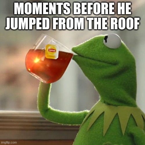 But That's None Of My Business | MOMENTS BEFORE HE JUMPED FROM THE ROOF | image tagged in memes,but that's none of my business,kermit the frog | made w/ Imgflip meme maker