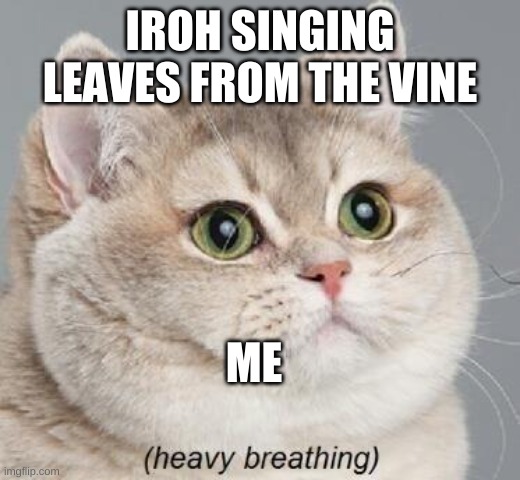 I cry | IROH SINGING LEAVES FROM THE VINE; ME | image tagged in memes,heavy breathing cat | made w/ Imgflip meme maker