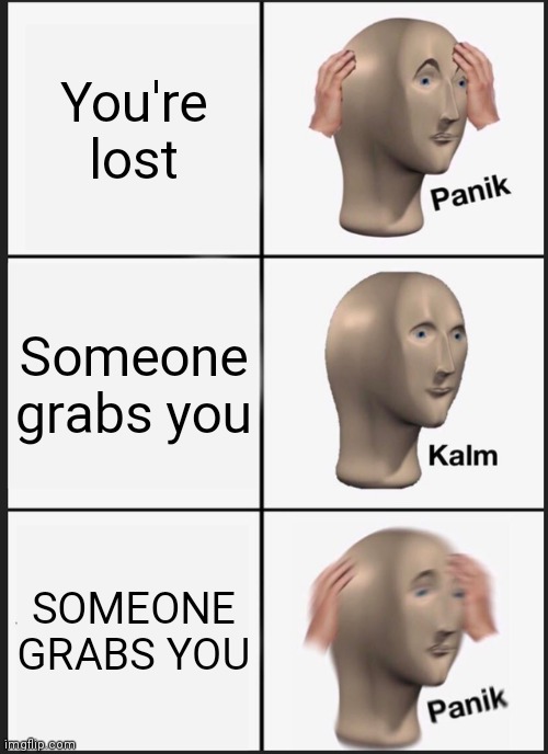 Panik Kalm Panik Meme | You're lost; Someone grabs you; SOMEONE GRABS YOU | image tagged in memes,panik kalm panik | made w/ Imgflip meme maker