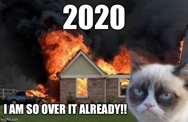 2020 I am so over it! | 2020; I AM SO OVER IT ALREADY!! | image tagged in memes,burn kitty,grumpy cat,2020,corona virus,over it | made w/ Imgflip meme maker