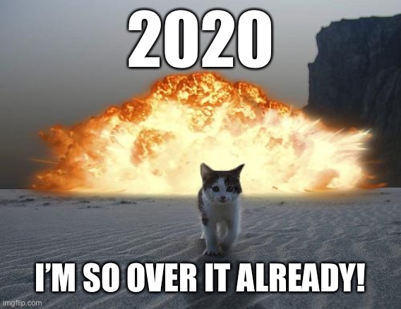 2020 I’m so over it already | 2020; I’M SO OVER IT ALREADY! | image tagged in cat explosion,2020,over it,end of the world | made w/ Imgflip meme maker