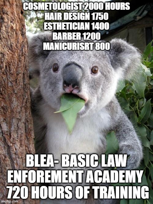 Surprised Koala Meme | COSMETOLOGIST 2000 HOURS
HAIR DESIGN 1750
ESTHETICIAN 1400
BARBER 1200
MANICURISRT 800; BLEA- BASIC LAW ENFOREMENT ACADEMY 
 720 HOURS OF TRAINING | image tagged in memes,surprised koala | made w/ Imgflip meme maker