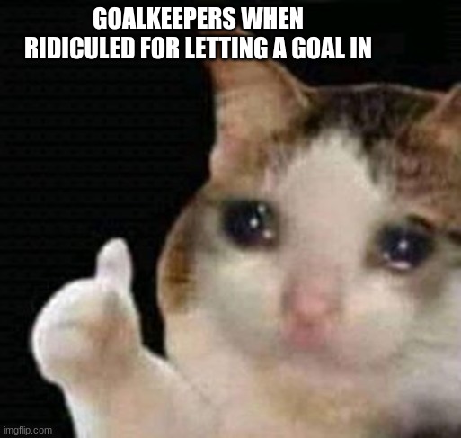 Respect For Goalkeepers | GOALKEEPERS WHEN RIDICULED FOR LETTING A GOAL IN | image tagged in sad thumbs up cat | made w/ Imgflip meme maker