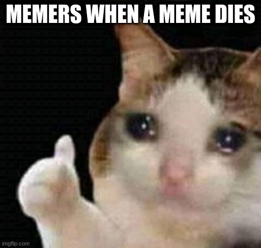 Memes! Come back! | MEMERS WHEN A MEME DIES | image tagged in sad thumbs up cat | made w/ Imgflip meme maker