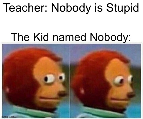 What kind of a name is that? | Teacher: Nobody is Stupid; The Kid named Nobody: | image tagged in memes,monkey puppet | made w/ Imgflip meme maker