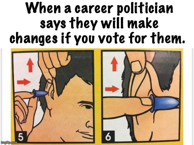 Insanity is voting for the same expecting something different | When a career politician says they will make changes if you vote for them. | image tagged in politics | made w/ Imgflip meme maker