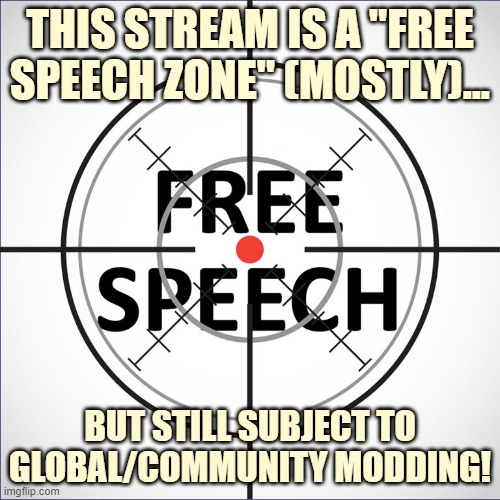 "Free speech" is never absolute. ImgFlip Mods: Please feel free to delete anything here you consider questionable. | THIS STREAM IS A "FREE SPEECH ZONE" (MOSTLY)... BUT STILL SUBJECT TO GLOBAL/COMMUNITY MODDING! | image tagged in free speech,imgflip mods,mods,freedom of speech,jeffrey,first world imgflip problems | made w/ Imgflip meme maker