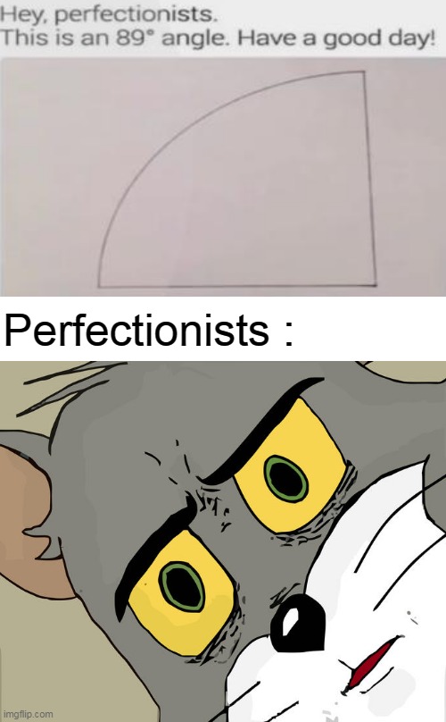 Imperfectly Perfect angle | Perfectionists : | image tagged in memes,unsettled tom,perfection,funny | made w/ Imgflip meme maker