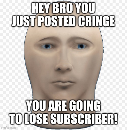 cringe | HEY BRO YOU JUST POSTED CRINGE; YOU ARE GOING TO LOSE SUBSCRIBER! | image tagged in memes | made w/ Imgflip meme maker