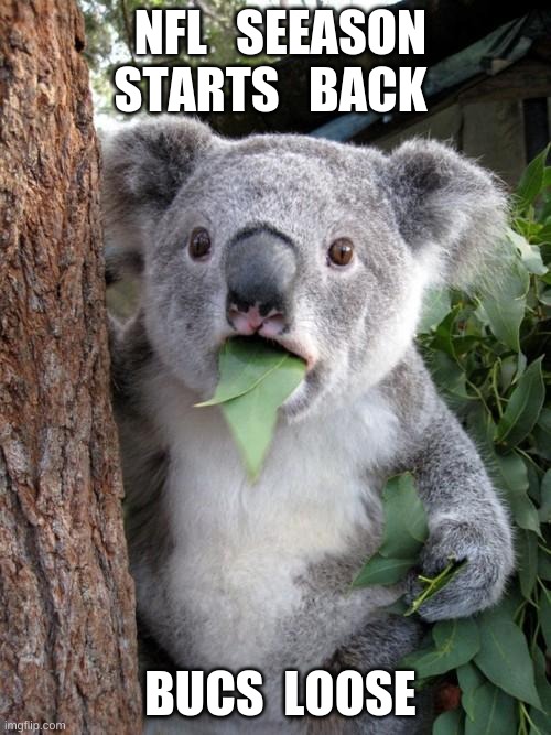 k | NFL   SEEASON STARTS   BACK; BUCS  LOOSE | image tagged in memes,surprised koala | made w/ Imgflip meme maker