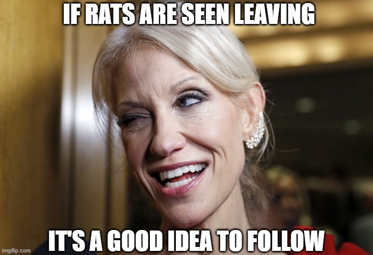 Kellyanne Conway Leaving White House | IF RATS ARE SEEN LEAVING; IT'S A GOOD IDEA TO FOLLOW | image tagged in kellyanne conway,sinking ship,rat,donald trump you're fired,election 2020,reelection disaster | made w/ Imgflip meme maker