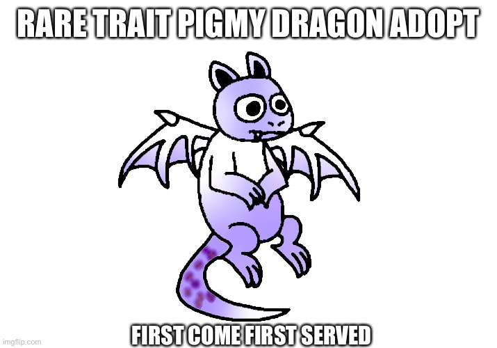 RARE TRAIT PIGMY DRAGON ADOPT; FIRST COME FIRST SERVED | made w/ Imgflip meme maker