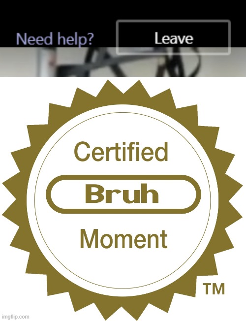 bruh | image tagged in certified bruh moment | made w/ Imgflip meme maker