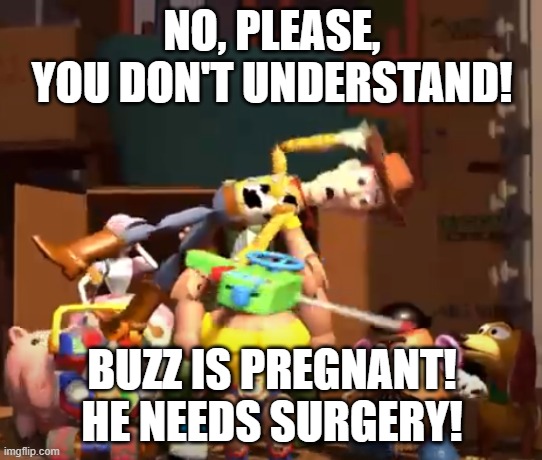 No, please, you don't understand! | NO, PLEASE, YOU DON'T UNDERSTAND! BUZZ IS PREGNANT!
HE NEEDS SURGERY! | image tagged in no please you don't understand | made w/ Imgflip meme maker