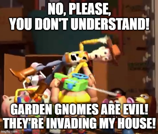 No, please, you don't understand! | NO, PLEASE, YOU DON'T UNDERSTAND! GARDEN GNOMES ARE EVIL!
THEY'RE INVADING MY HOUSE! | image tagged in no please you don't understand | made w/ Imgflip meme maker