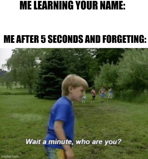 wait a minute who are you | ME LEARNING YOUR NAME:; ME AFTER 5 SECONDS AND FORGETING: | image tagged in wait a minute who are you | made w/ Imgflip meme maker