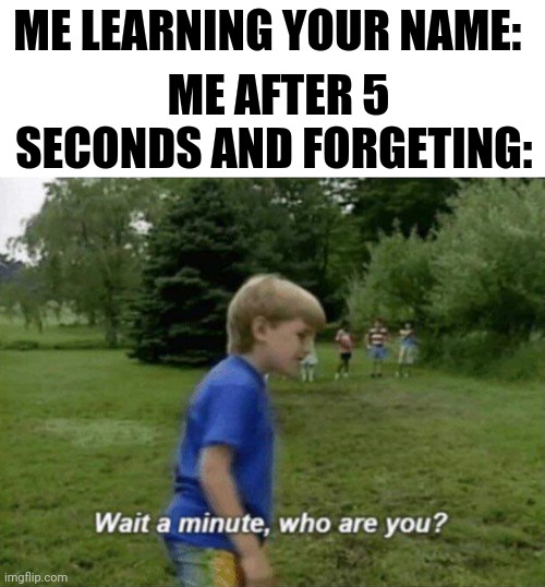 who are you again | ME LEARNING YOUR NAME:; ME AFTER 5 SECONDS AND FORGETING: | image tagged in wait a minute who are you | made w/ Imgflip meme maker