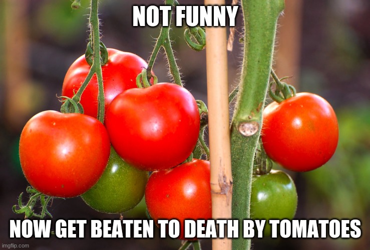 scp 504 | NOT FUNNY; NOW GET BEATEN TO DEATH BY TOMATOES | image tagged in scp meme | made w/ Imgflip meme maker