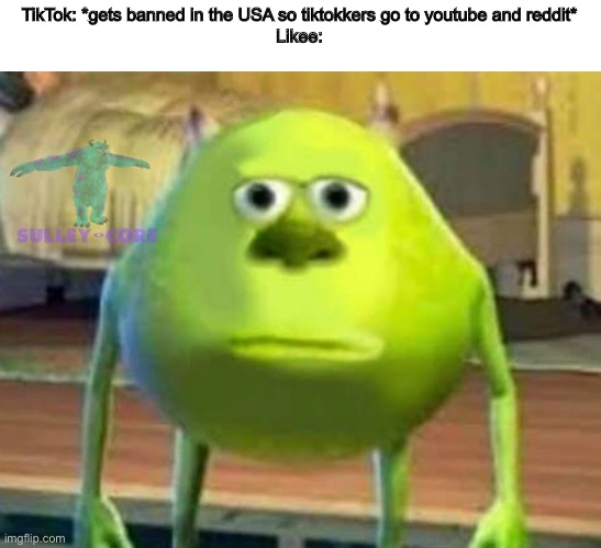 Likee is basically the Singapore version of tiktok | TikTok: *gets banned in the USA so tiktokkers go to youtube and reddit*
Likee: | image tagged in monsters inc | made w/ Imgflip meme maker