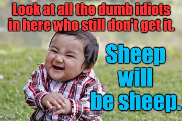 Evil Toddler Meme | Look at all the dumb idiots in here who still don't get it. Sheep will be sheep. | image tagged in memes,evil toddler | made w/ Imgflip meme maker