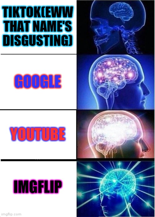Expanding Brain |  TIKTOK(EWW THAT NAME'S DISGUSTING); GOOGLE; YOUTUBE; IMGFLIP | image tagged in memes,expanding brain | made w/ Imgflip meme maker