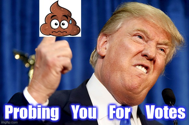 Donald Trump | Probing    You    For     Votes | image tagged in donald trump | made w/ Imgflip meme maker