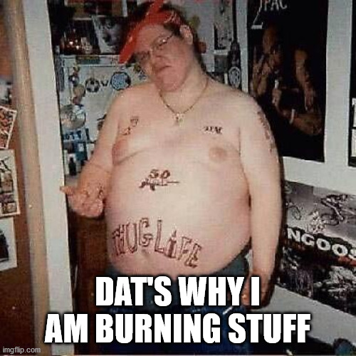 Thug looser | DAT'S WHY I AM BURNING STUFF | image tagged in thug looser | made w/ Imgflip meme maker