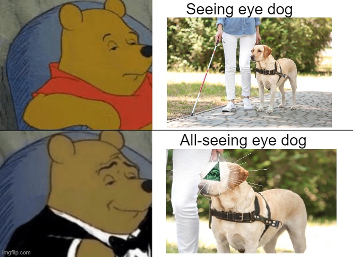 Tuxedo Winnie The Pooh Meme | Seeing eye dog; All-seeing eye dog | image tagged in memes,tuxedo winnie the pooh,seeing eye dog,all seeing eye,illuminati | made w/ Imgflip meme maker