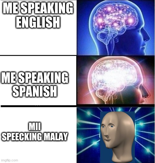 Horrible Crossover | ME SPEAKING ENGLISH; ME SPEAKING SPANISH; MII SPEECKING MALAY | image tagged in expanding brain 3 panels,meme man | made w/ Imgflip meme maker