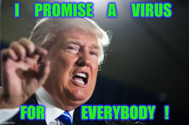 donald trump | I     PROMISE     A     VIRUS; FOR            EVERYBODY   ! | image tagged in donald trump | made w/ Imgflip meme maker