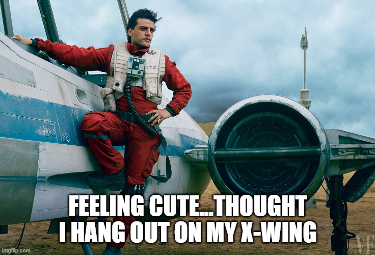 Pose...Pose...Pose | FEELING CUTE...THOUGHT I HANG OUT ON MY X-WING | image tagged in poe dameron x-wing | made w/ Imgflip meme maker