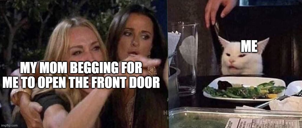 woman yelling at cat | ME; MY MOM BEGGING FOR ME TO OPEN THE FRONT DOOR | image tagged in woman yelling at cat | made w/ Imgflip meme maker