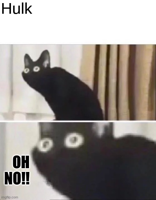 Oh No Black Cat | Hulk OH NO!! | image tagged in oh no black cat | made w/ Imgflip meme maker