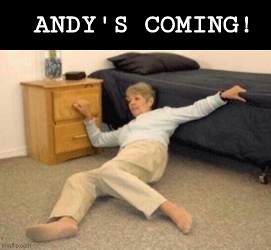 A game my kids and I play ? |  ANDY'S COMING! | image tagged in woman falling in shock | made w/ Imgflip meme maker