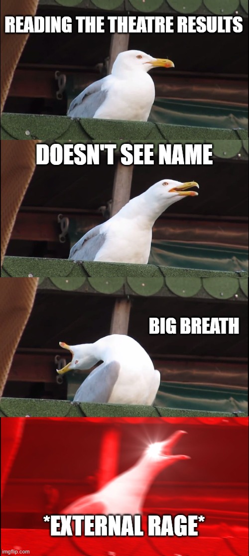 *external rage* | READING THE THEATRE RESULTS; DOESN'T SEE NAME; BIG BREATH; *EXTERNAL RAGE* | image tagged in memes,inhaling seagull | made w/ Imgflip meme maker