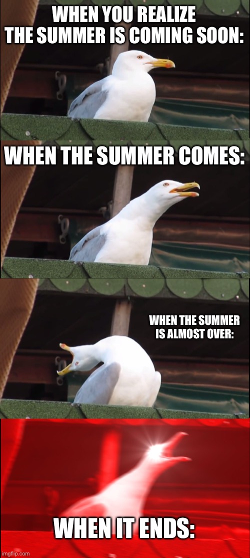 Inhaling Seagull | WHEN YOU REALIZE THE SUMMER IS COMING SOON:; WHEN THE SUMMER COMES:; WHEN THE SUMMER IS ALMOST OVER:; WHEN IT ENDS: | image tagged in memes,inhaling seagull | made w/ Imgflip meme maker
